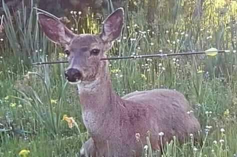 प्रभु की कृपा